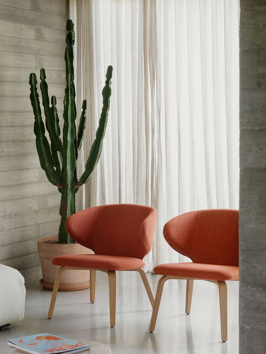 midj_ricci_HQ_design_riccione